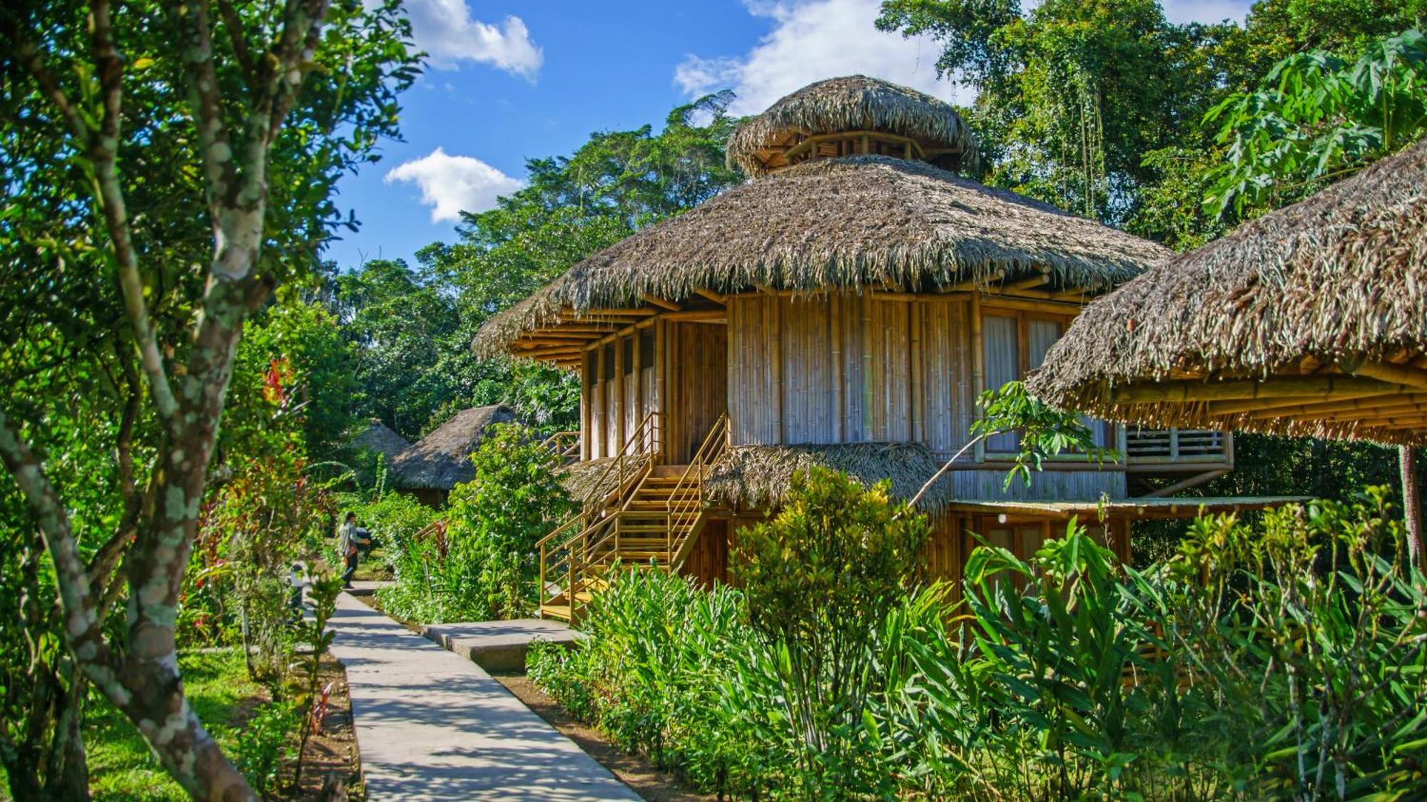 La Selva Eco-Lodge & Retreat Providencia Exterior foto