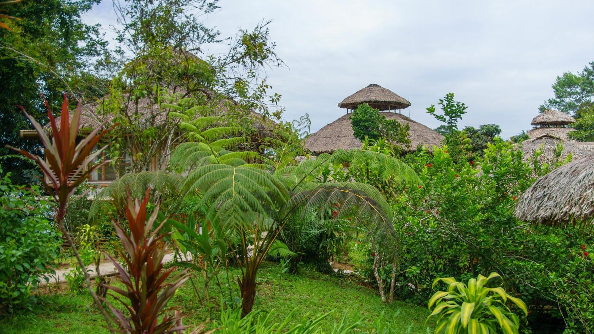 La Selva Eco-Lodge & Retreat Providencia Exterior foto
